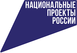 Без названия.png