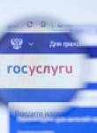 Социально значимые услуги на портале госуслуг