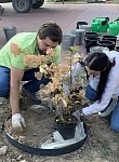 Входную группу ТЮЗа украсили гортензии и японские спиреи