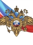 День сотрудника органов внутренних дел РФ